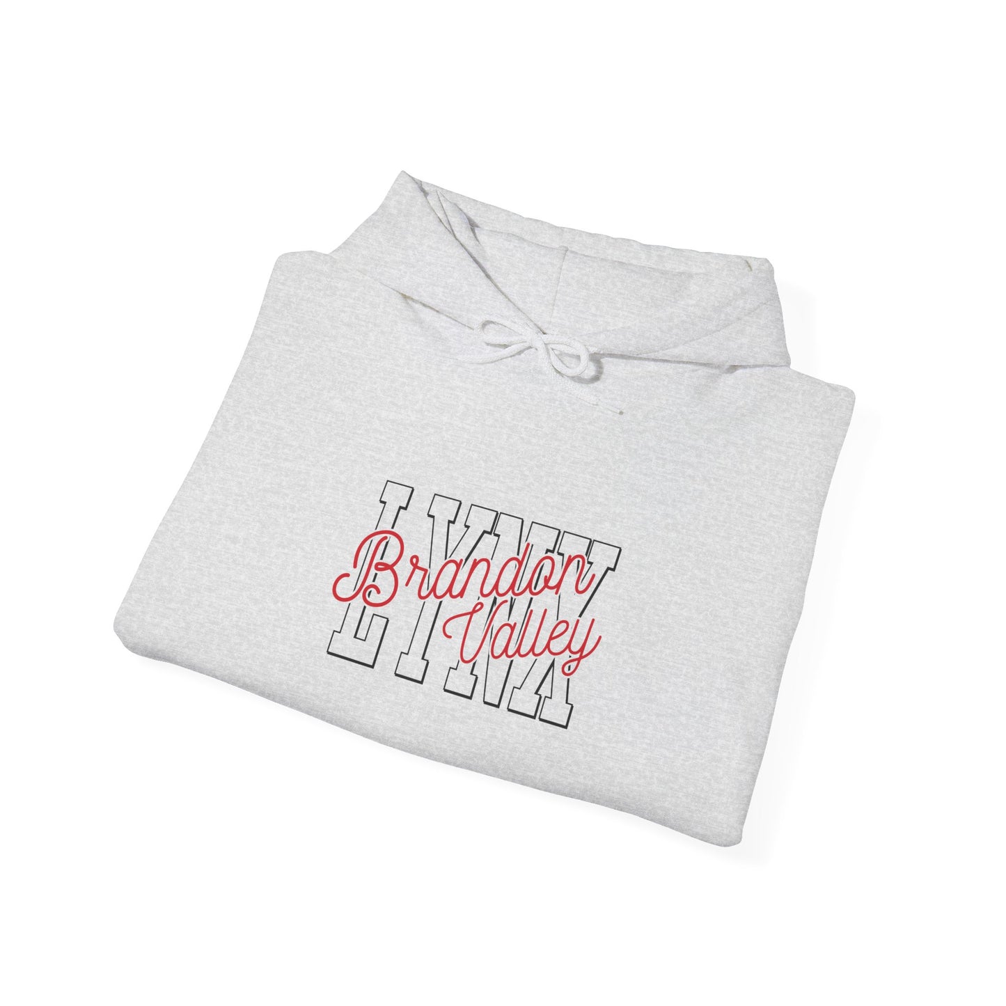 BV unisex Heavy Blend™ Hooded Sweatshirt