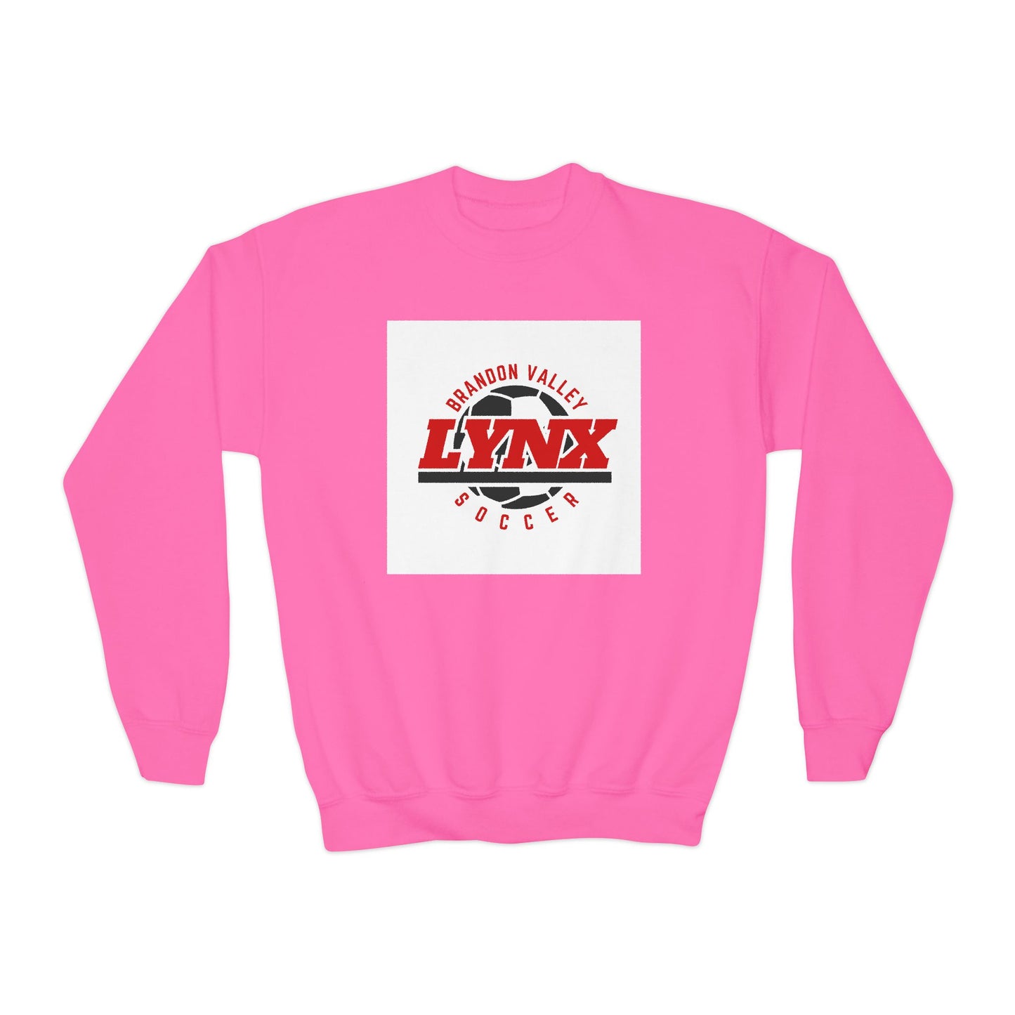 BV Soccer Youth Crewneck Sweatshirt