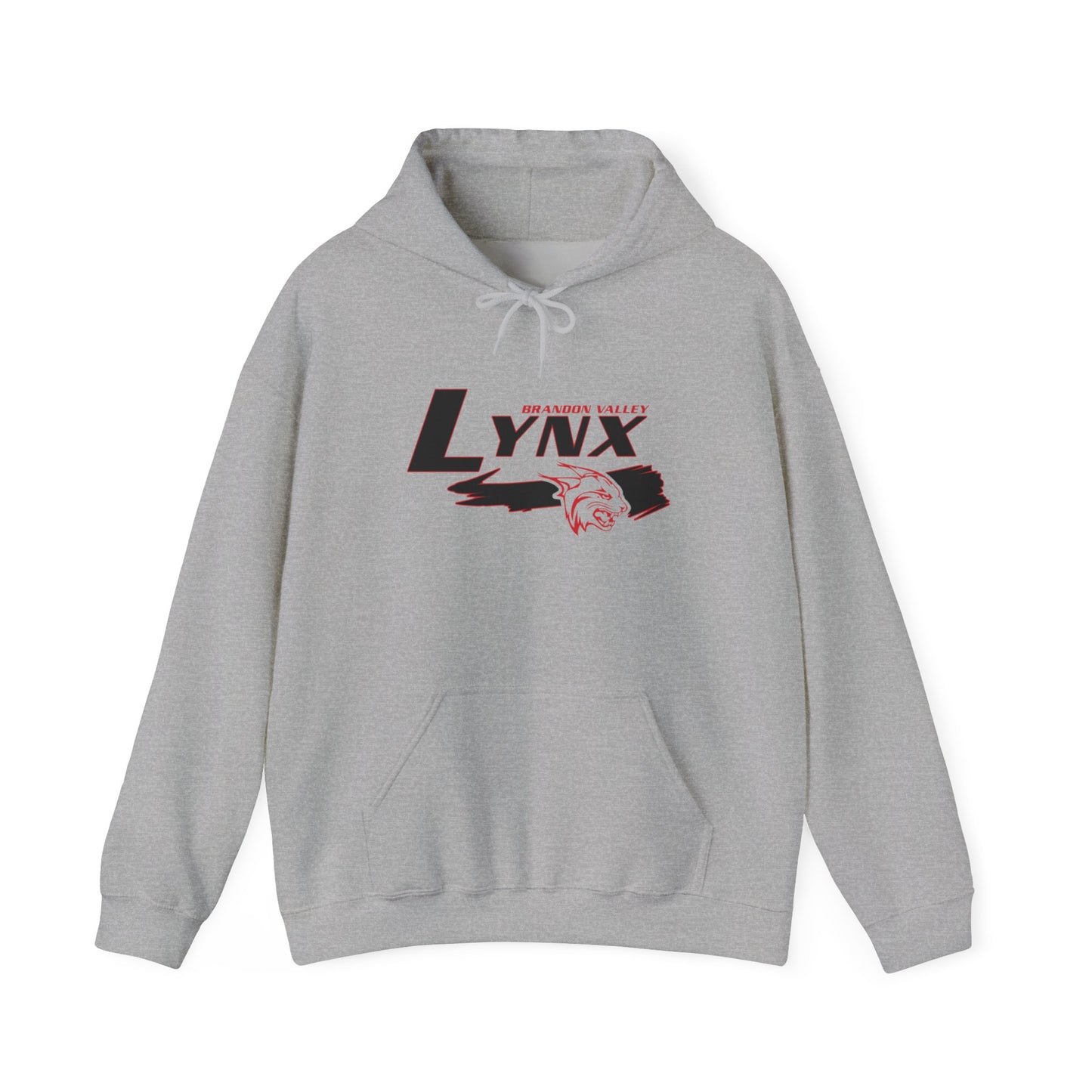 BV Unisex Heavy Blend™ Hooded Sweatshirt