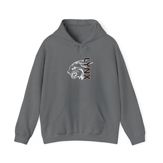 BV Unisex Heavy Blend™ Hooded Sweatshirt