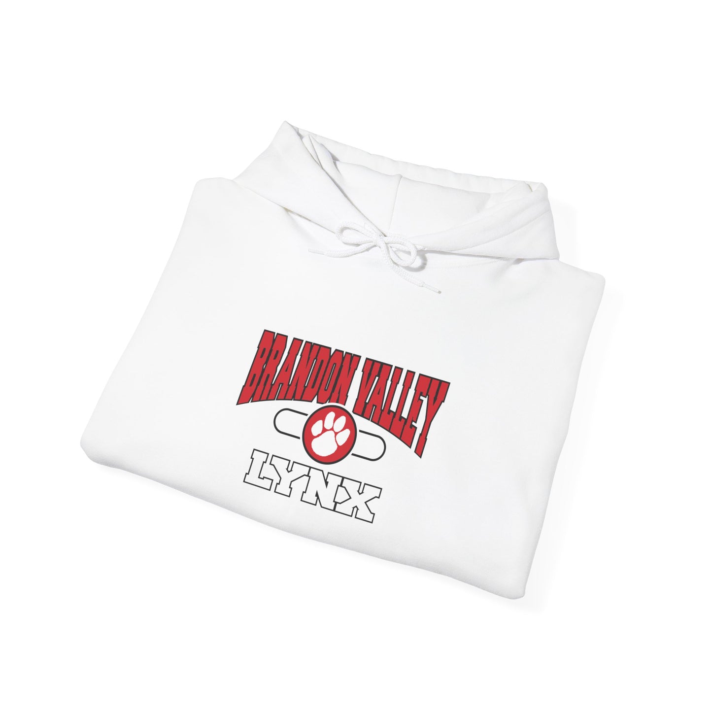 BV Unisex Heavy Blend™ Hooded Sweatshirt