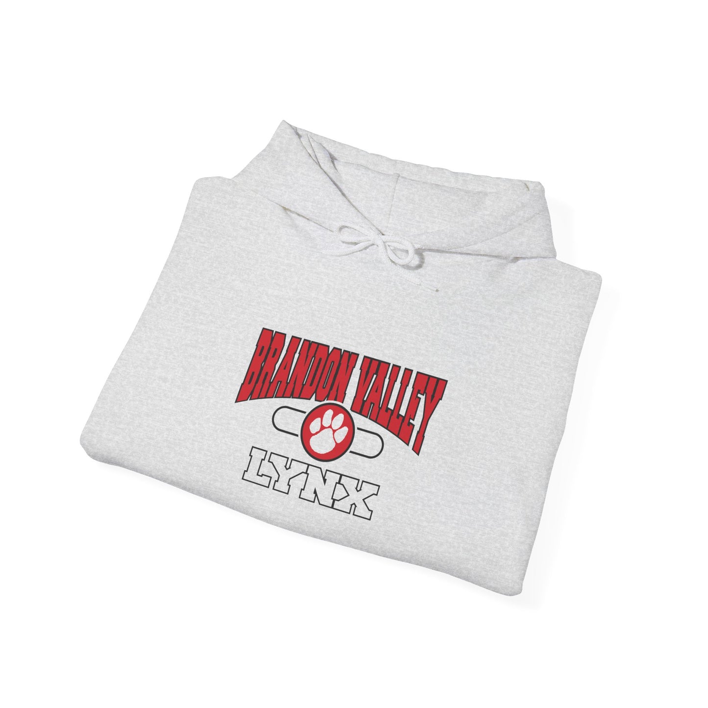 BV Unisex Heavy Blend™ Hooded Sweatshirt