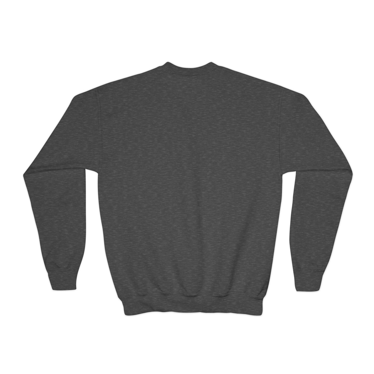 BV Band Youth Crewneck Sweatshirt