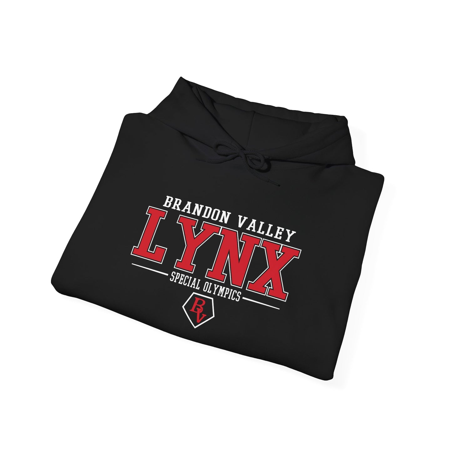 Copy of BV Special Olympics Unisex Heavy Blend™ Hooded Sweatshirt