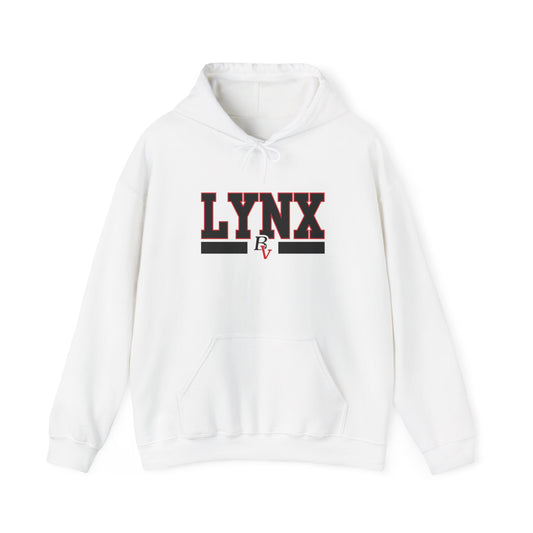 BV Unisex Heavy Blend™ Hooded Sweatshirt