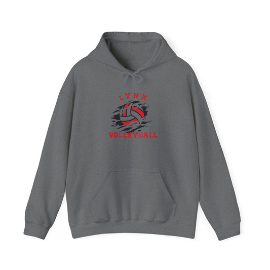 BV Volleyball Unisex Heavy Blend™ Hooded Sweatshirt